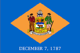 Official Delaware state flag.