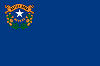 Official State Flag of Nevada.