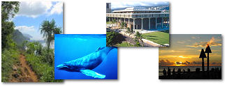 Hawaii State collage of images.